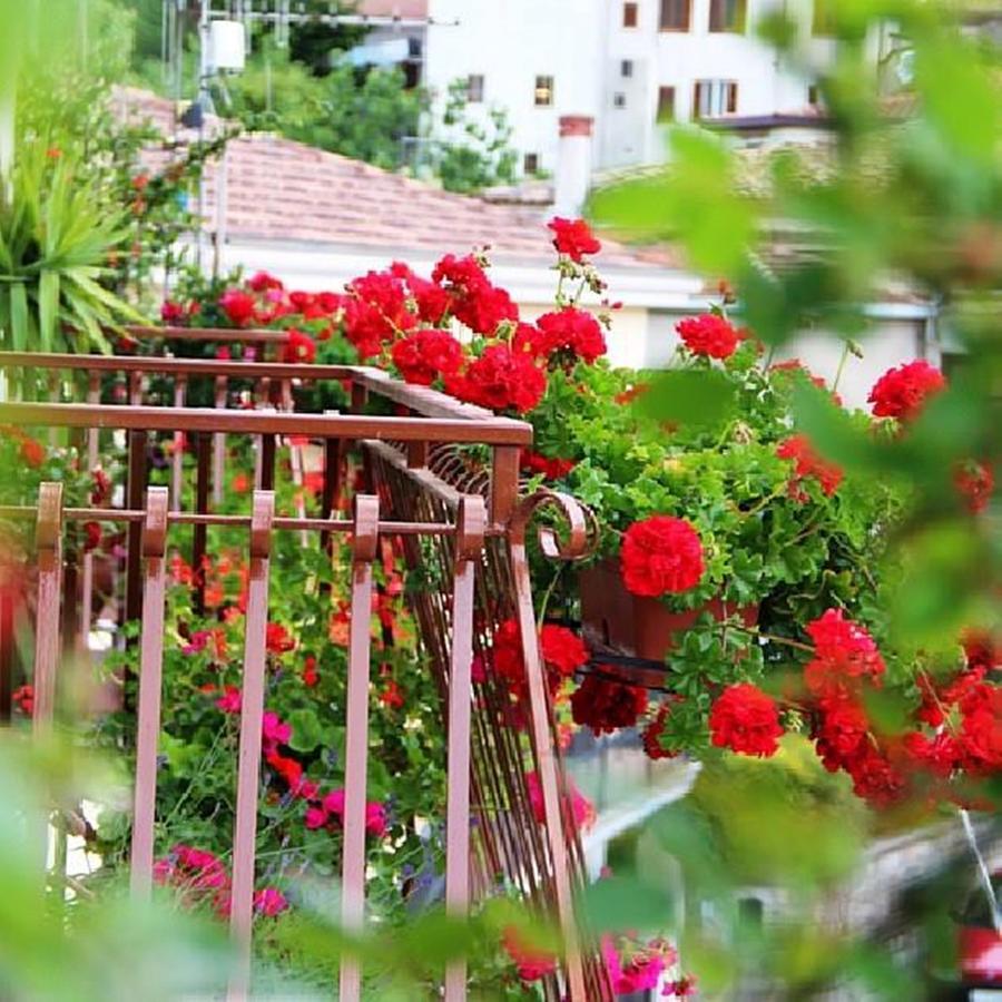 روتوندا B&B Da Peppe المظهر الخارجي الصورة